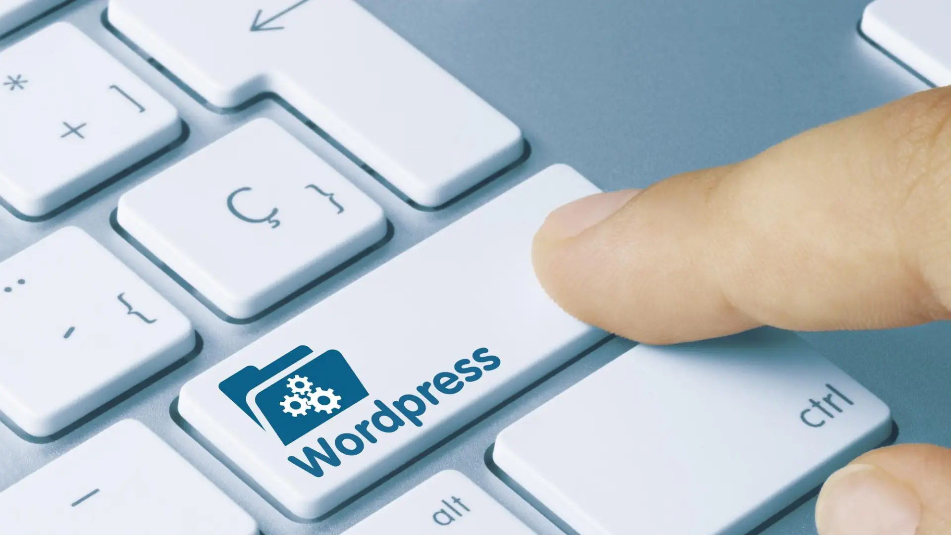 desarrollo web o plantillas wordpress